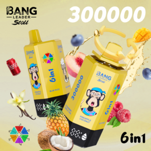 Bang Leader Stoll 300K 6W1 e-papieros | Bang Leader stoll 300K Puffs 6W1