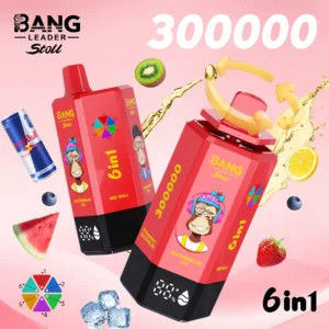 Bang Leader Stoll 300K 6W1 e-papieros | Bang Leader stoll 300K Puffs 6W1
