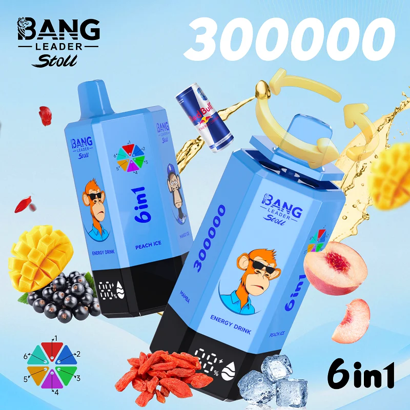 Bang Leader Stoll 300K 6w1